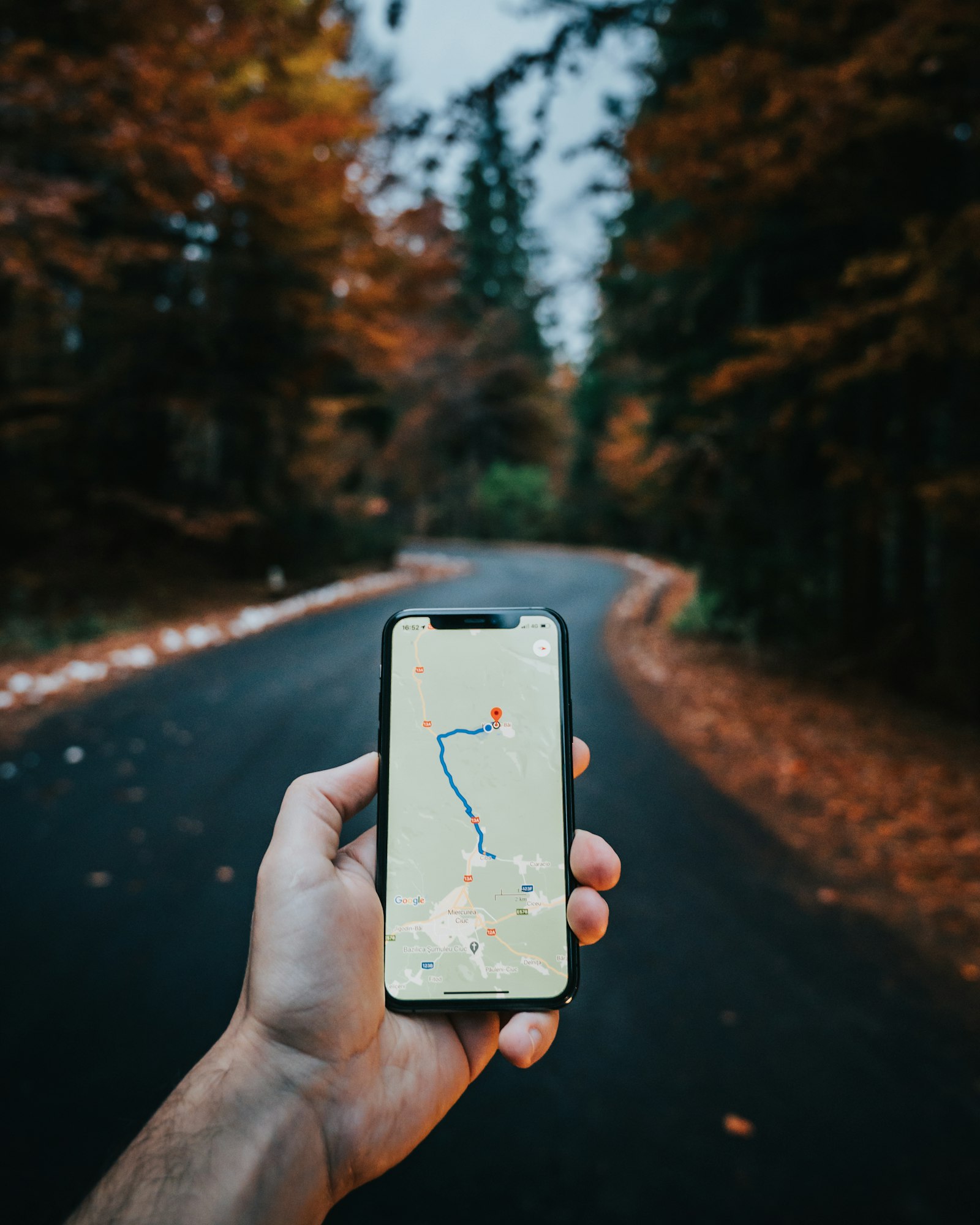 Rider checking the route on a phone